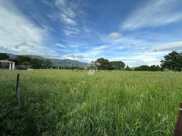 terreno agricolo in vendita a Capannori in zona Lammari