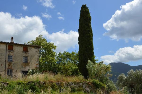 casa indipendente in vendita a Capannori in zona Marlia