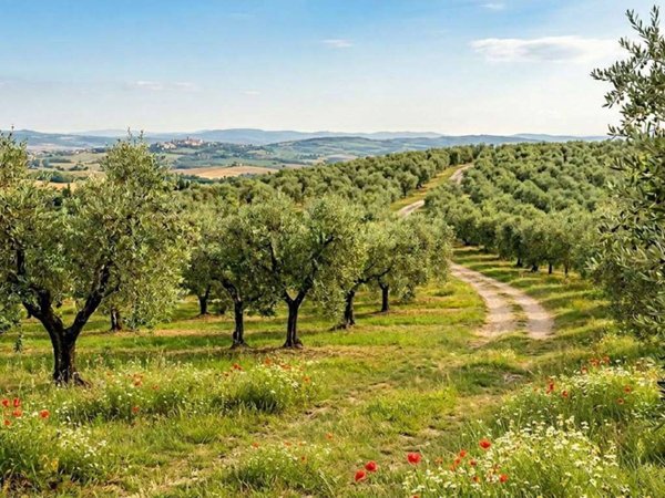 terreno agricolo in vendita a Capannori