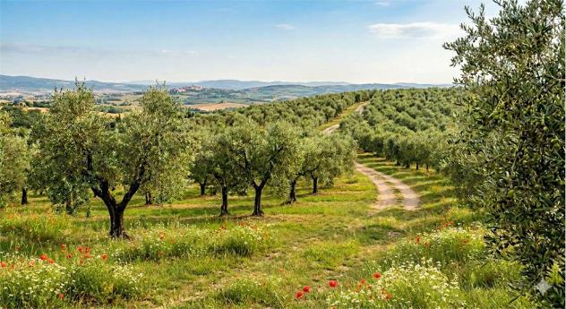 terreno agricolo in vendita a Capannori