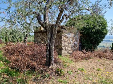 appartamento in vendita a Capannori in zona Castelvecchio di Compito