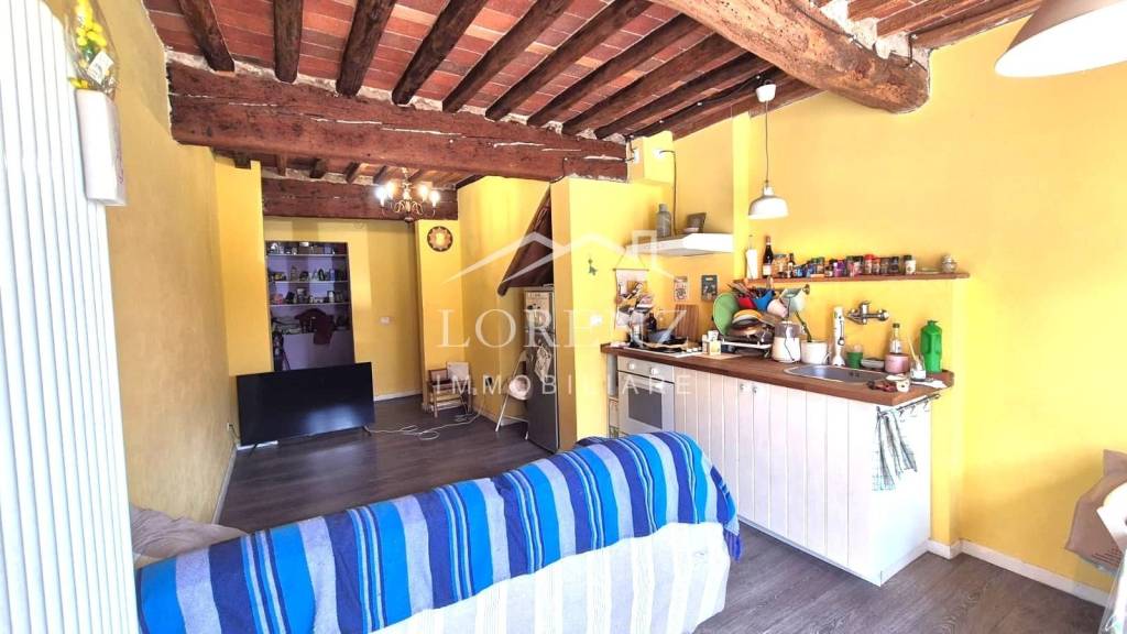casa indipendente in vendita a Capannori in zona Carraia