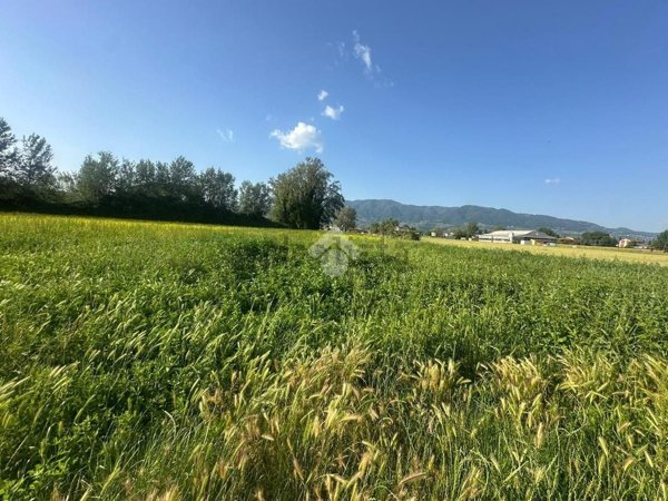 terreno agricolo in vendita a Capannori in zona Lunata