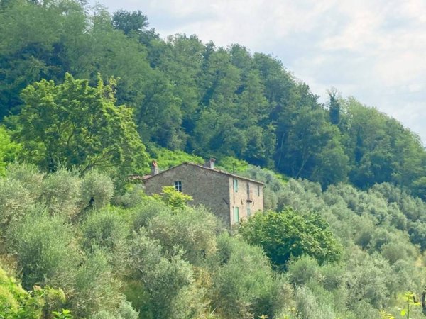 casale in vendita a Capannori in zona San Gennaro