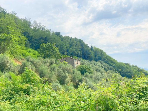 casale in vendita a Capannori in zona San Gennaro