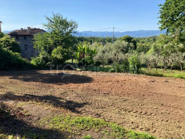 casa indipendente in vendita a Capannori