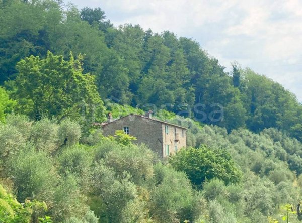 casa indipendente in vendita a Capannori in zona San Gennaro