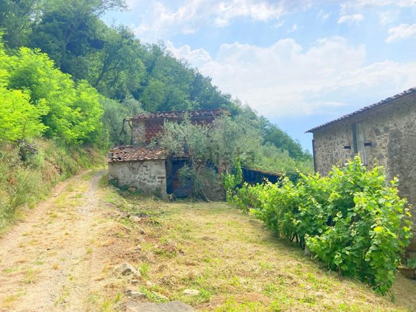 casale in vendita a Capannori in zona San Gennaro