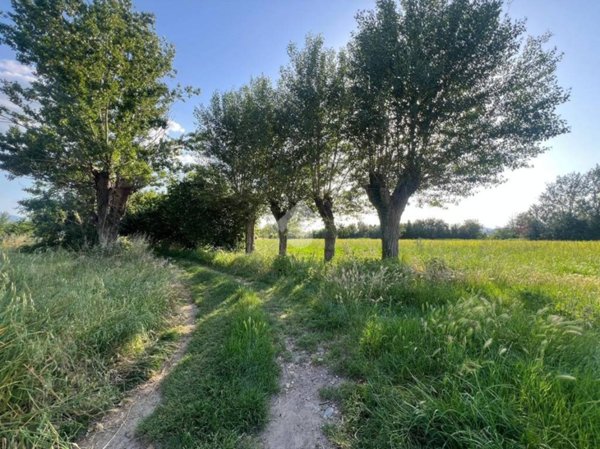 terreno agricolo in vendita a Capannori in zona Lunata