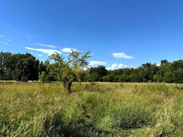 terreno agricolo in vendita a Capannori in zona Guamo