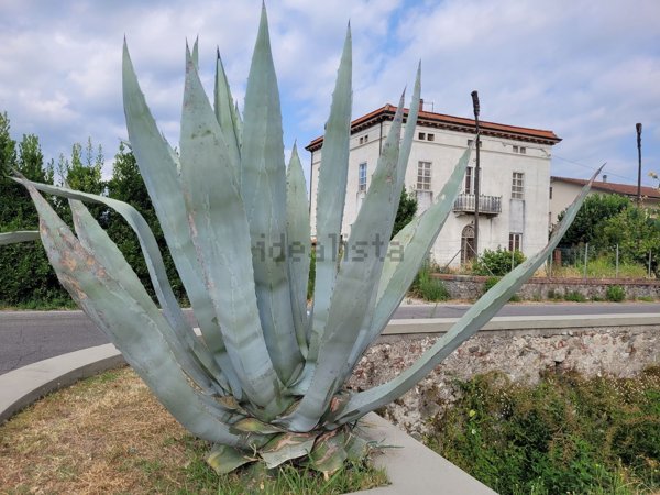 casa indipendente in vendita a Capannori in zona Marlia