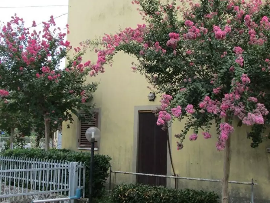 intera palazzina in vendita a Capannori in zona Guamo