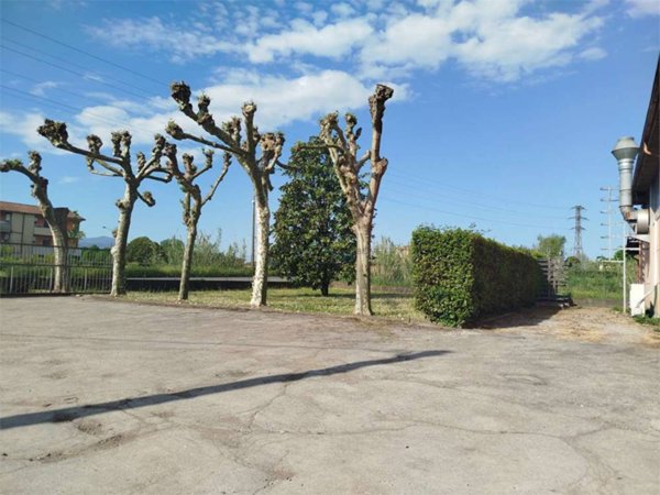 ufficio in vendita a Capannori in zona Corte Polito