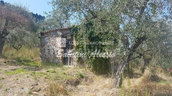 casale in vendita a Capannori in zona Vorno