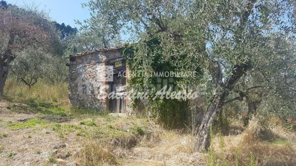 casale in vendita a Capannori in zona Vorno