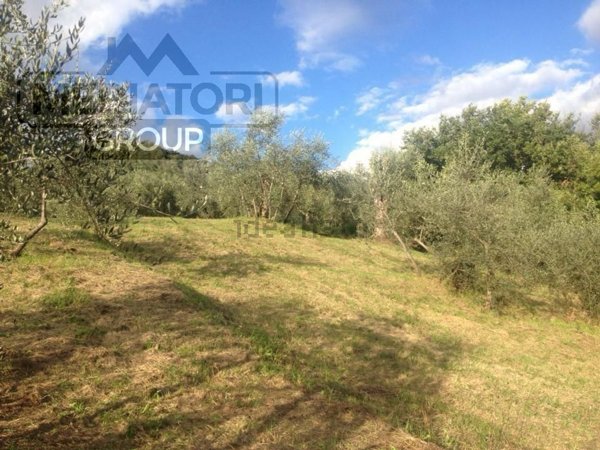 terreno in vendita a Capannori in zona San Gennaro