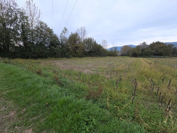 terreno agricolo in vendita a Capannori