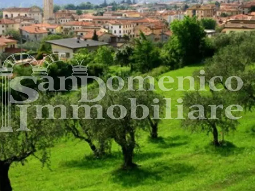 terreno agricolo in vendita a Capannori