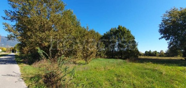 terreno agricolo in vendita a Capannori