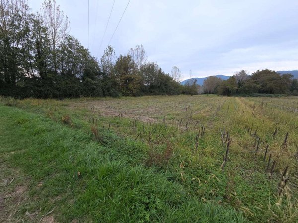terreno agricolo in vendita a Capannori