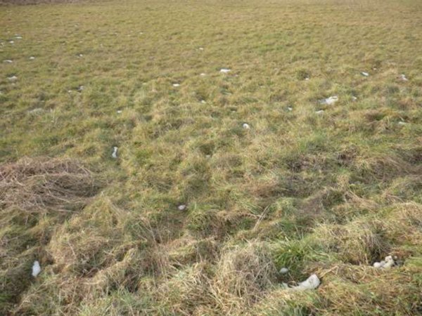 terreno agricolo in vendita a Capannori in zona Carraia
