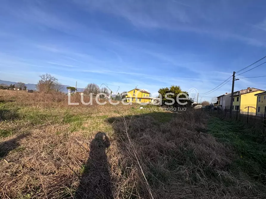 terreno agricolo in vendita a Capannori