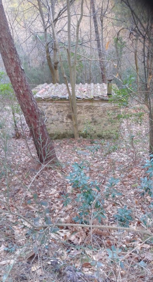 terreno agricolo in vendita a Capannori