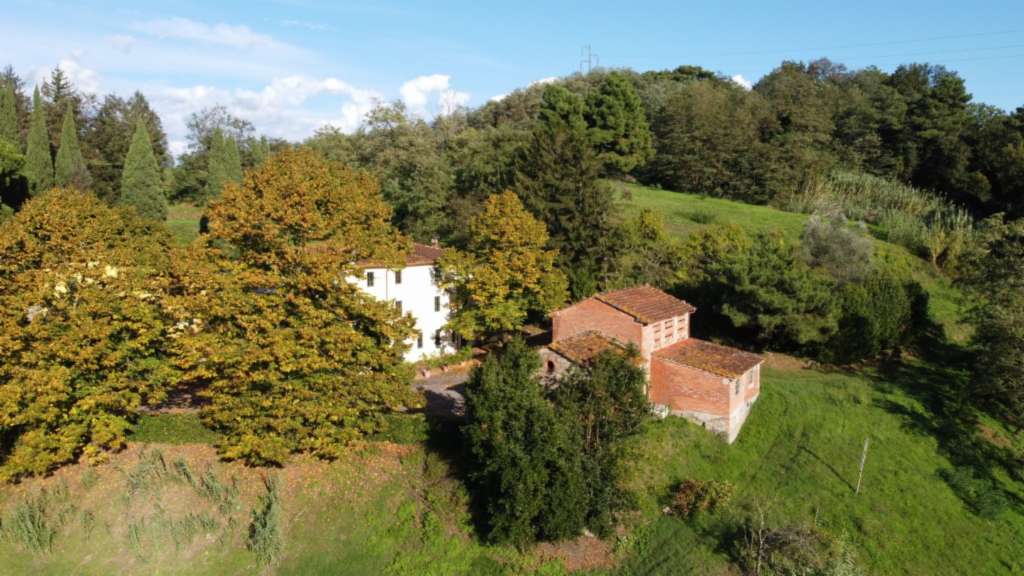 azienda agricola in vendita a Capannori in zona San Gennaro