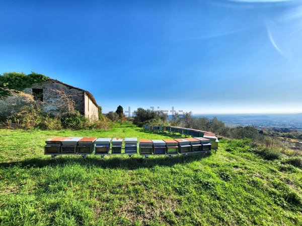 casale in vendita a Capannori in zona San Gennaro