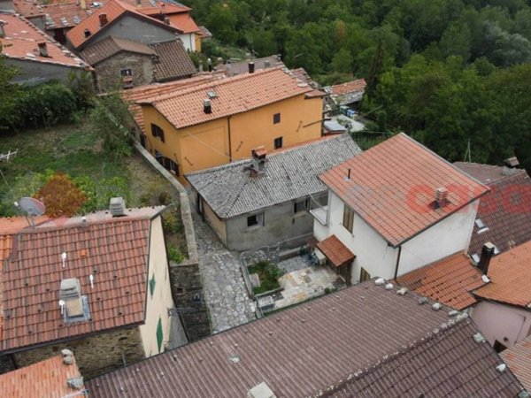 casa indipendente in vendita a Careggine