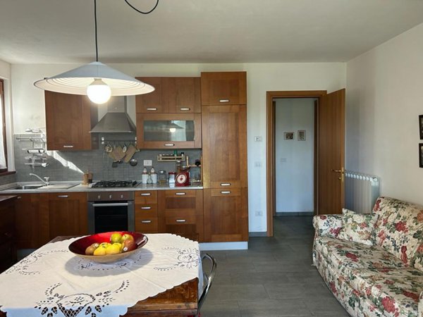 appartamento in vendita a Careggine in zona Vianova