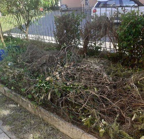 appartamento in vendita a Castelnuovo di Garfagnana