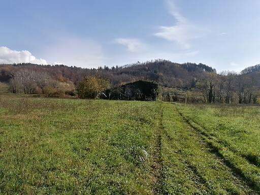 azienda agricola in vendita a Castelnuovo di Garfagnana
