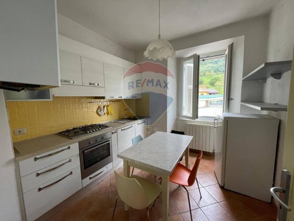 appartamento in vendita a Castelnuovo di Garfagnana