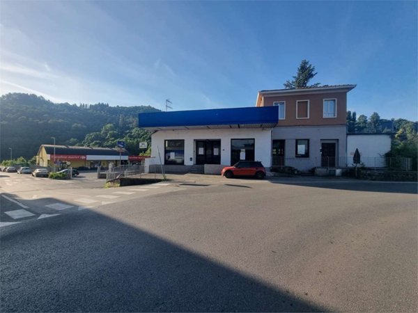 appartamento in vendita a Castelnuovo di Garfagnana