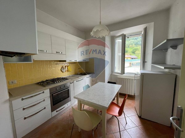 appartamento in vendita a Castelnuovo di Garfagnana