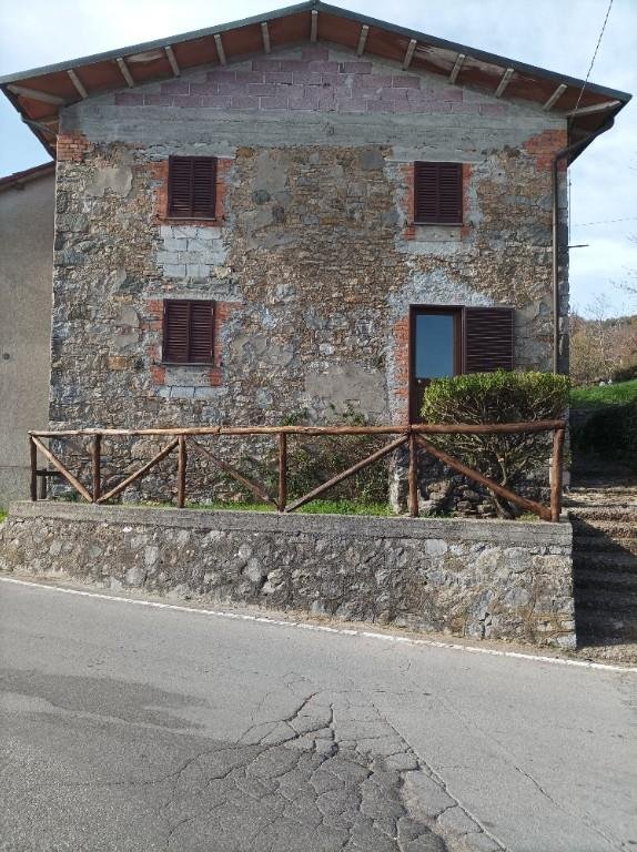casa indipendente in vendita a Castelnuovo di Garfagnana in zona Stazzana