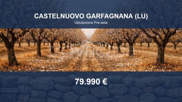 terreno edificabile in vendita a Castelnuovo di Garfagnana in zona Monteperpoli