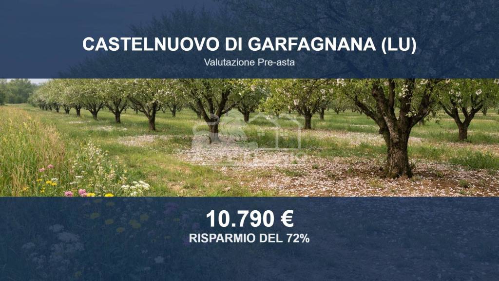 terreno agricolo in vendita a Castelnuovo di Garfagnana
