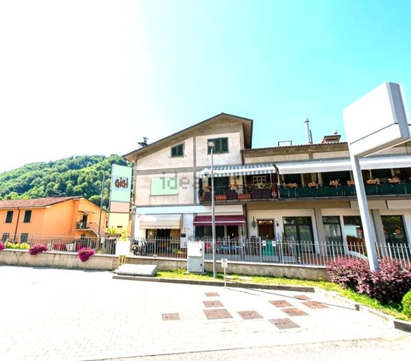 appartamento in vendita a Castelnuovo di Garfagnana in zona Monteperpoli