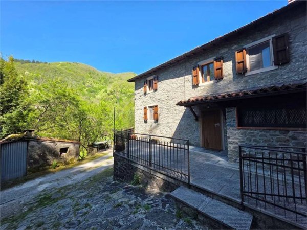 casa indipendente in vendita a Castiglione di Garfagnana in zona Isola