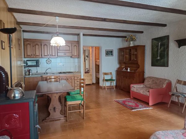 appartamento in vendita a Castiglione di Garfagnana