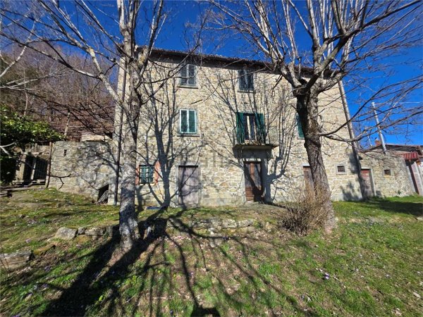 casale in vendita a Castiglione di Garfagnana in zona Chiozza