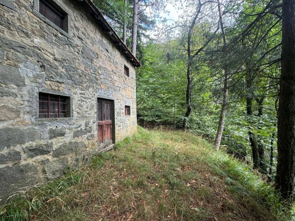 casa indipendente in vendita a Coreglia Antelminelli in zona Gromignana