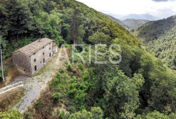 casa indipendente in vendita a Coreglia Antelminelli in zona Gromignana