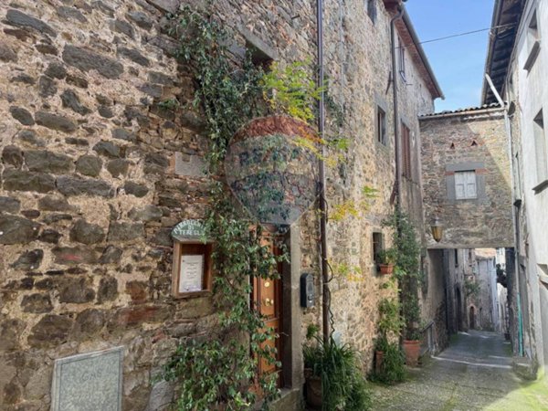 casa indipendente in vendita a Coreglia Antelminelli in zona Tereglio