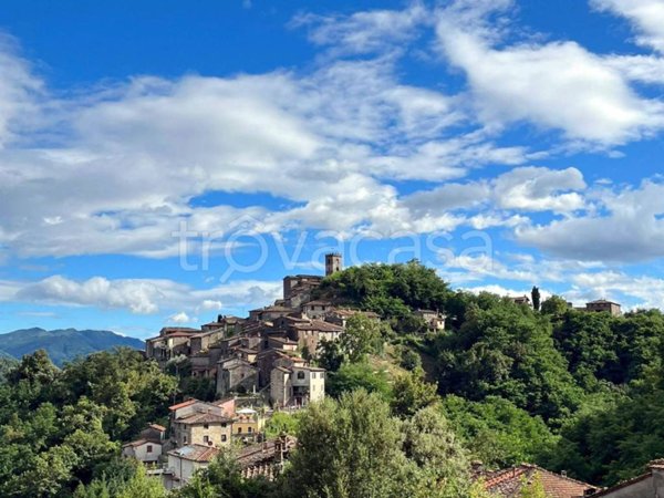 casa indipendente in vendita a Coreglia Antelminelli in zona Vitiana