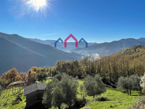 casa indipendente in vendita a Coreglia Antelminelli in zona Vitiana