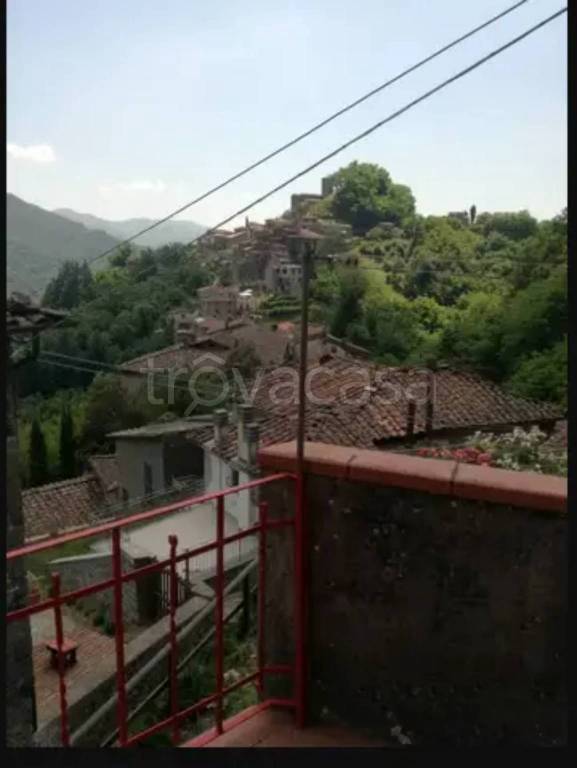 casa indipendente in vendita a Coreglia Antelminelli in zona Vitiana