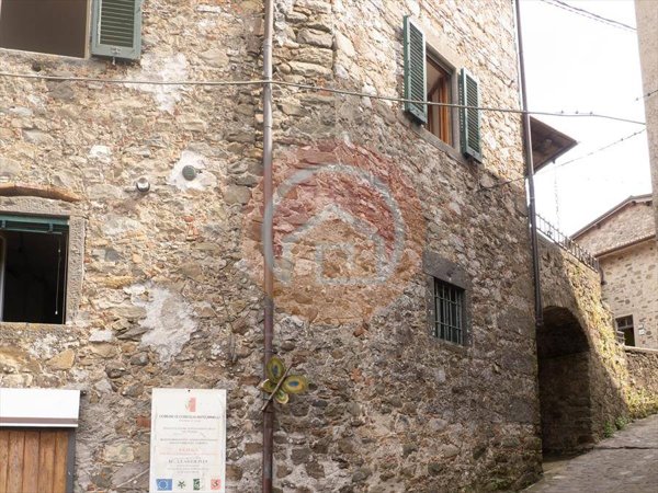 casa indipendente in vendita a Coreglia Antelminelli in zona Lucignana